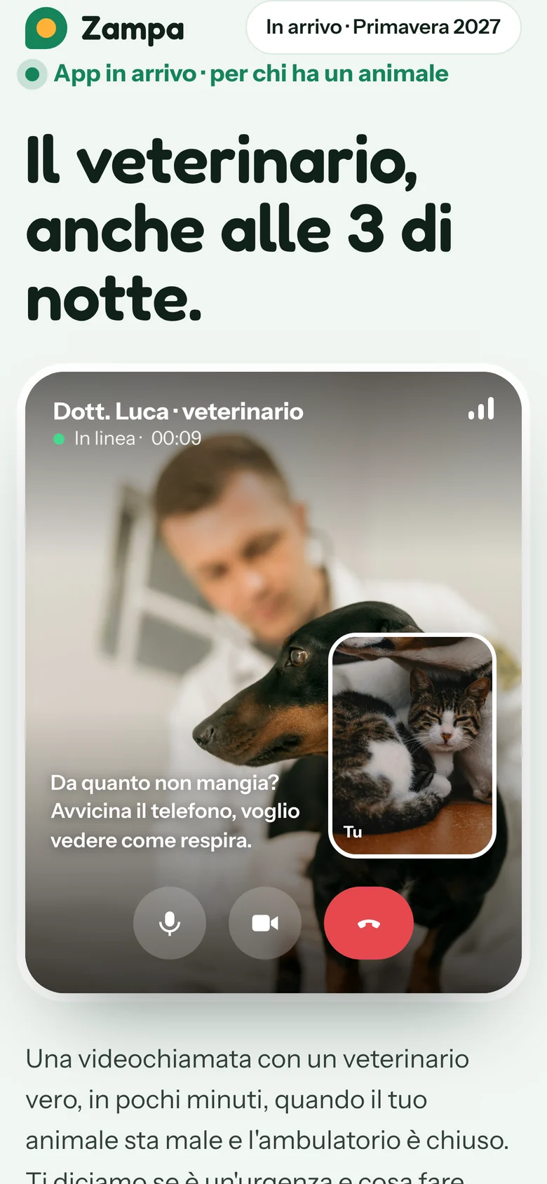 Zampa, la pagina vista da telefono
