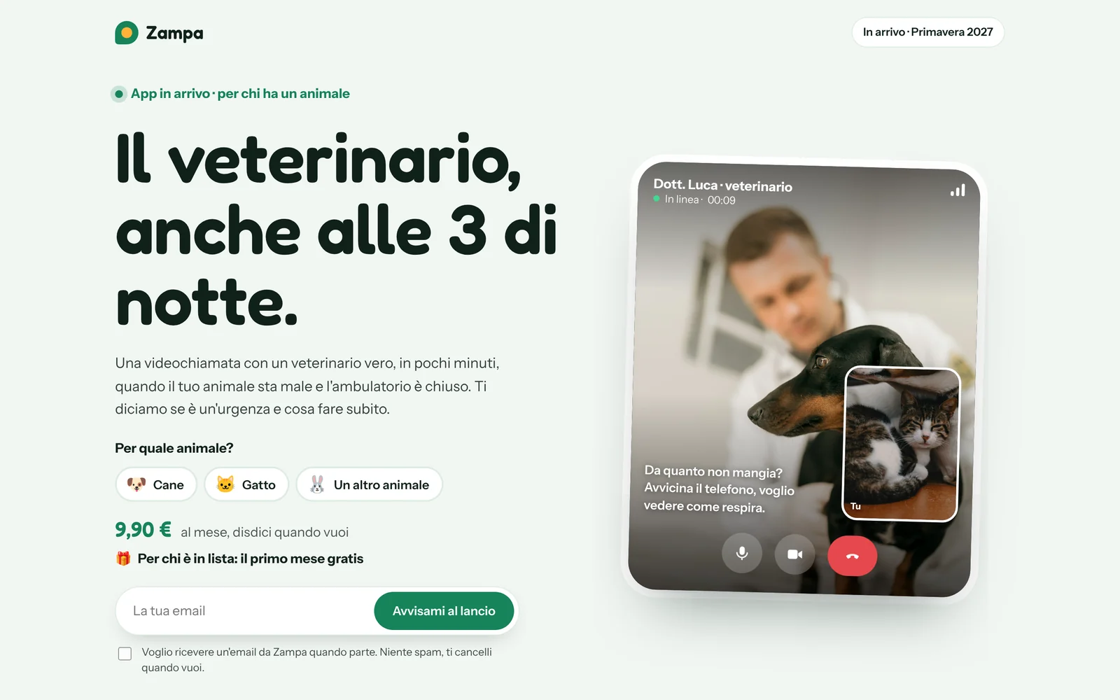 Zampa, la pagina vista da computer